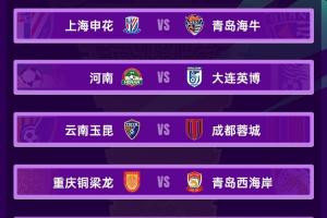 免费观看足协杯1/8vs：玉昆vs蓉城 兰州vs陕西“西北德比” 泰山战三镇直播_无插件在线免费观看