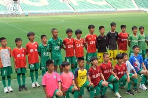 世界杯_高清免费直播_无插件在线观看入口
