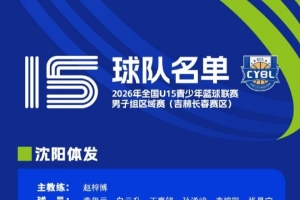 世界杯原声解说_高清免费直播_无插件在线观看入口
