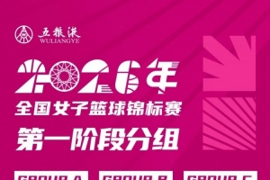 中超天津津门虎vs深圳新鹏城_在线免费直播_全场录像_赛事动态