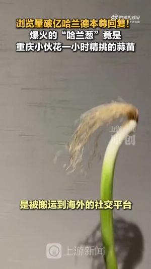 埃及U17女篮vs意大利U17女篮直播_高清无插件观看入口